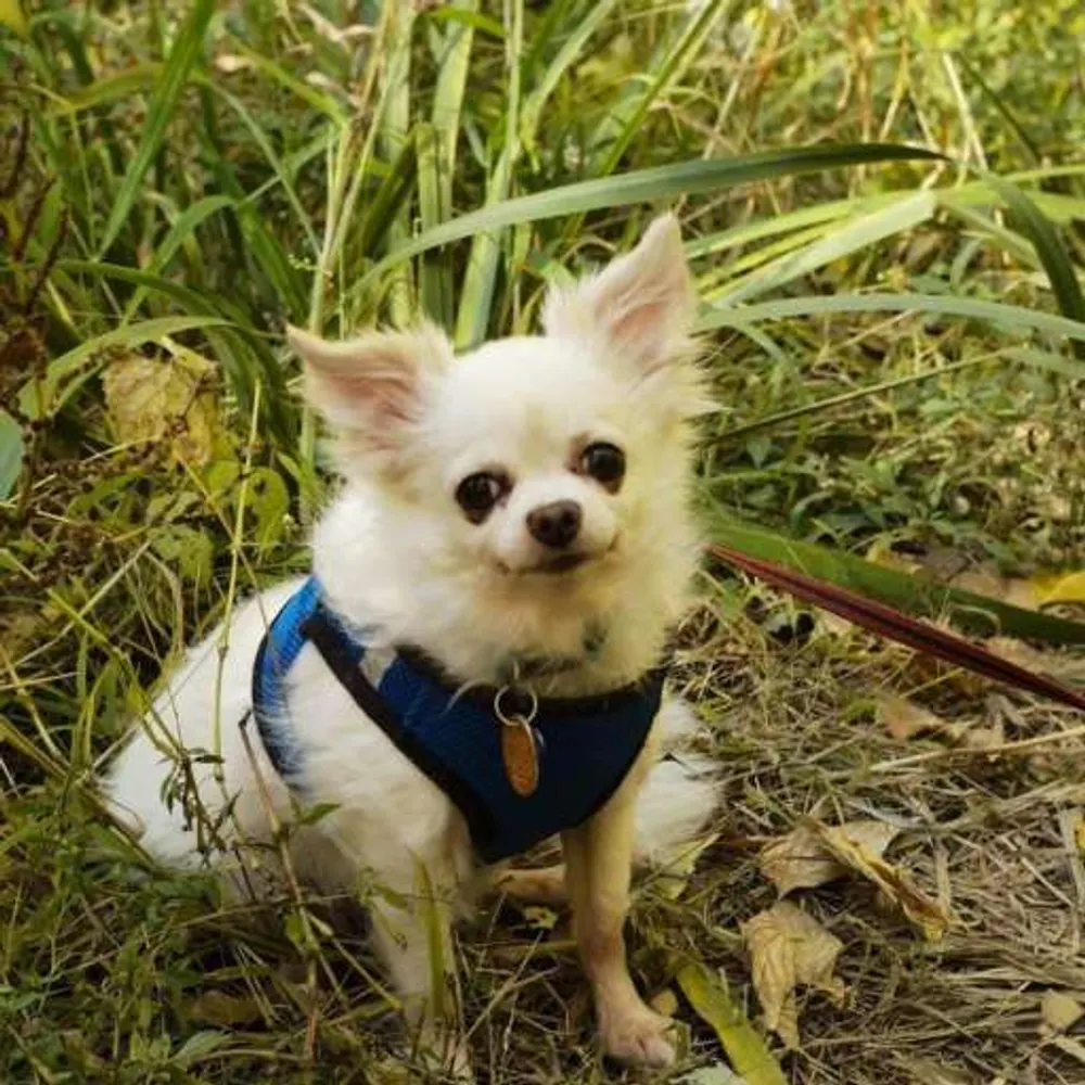 janedziendobry.bsky.social's profile picture