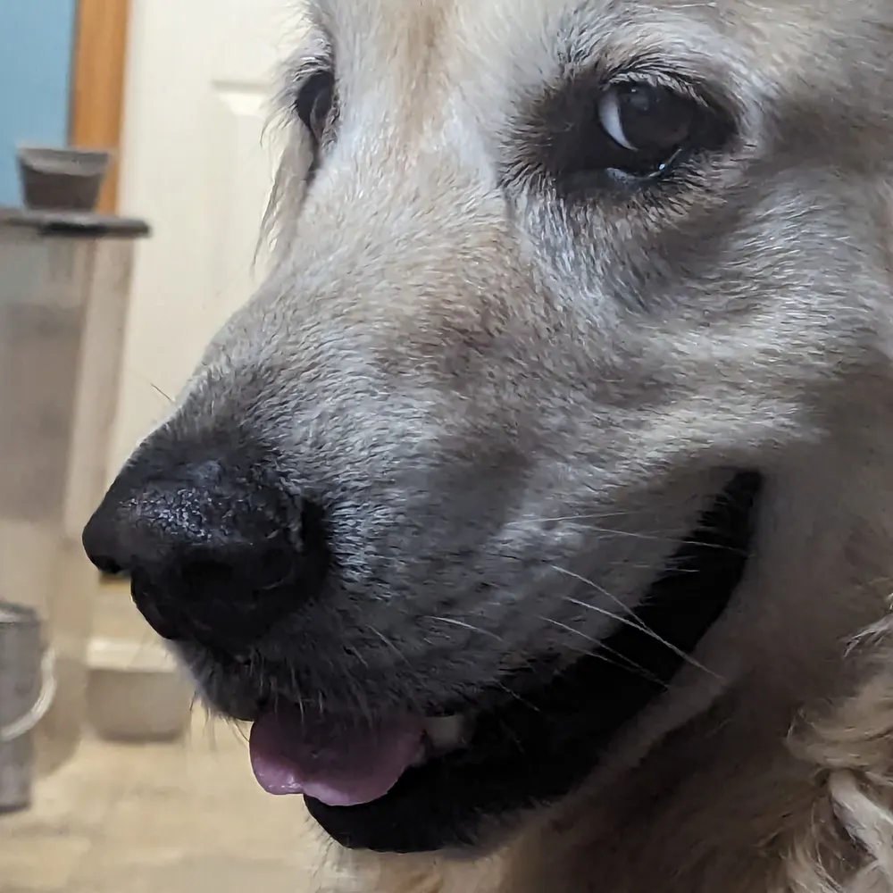 gnnumbers.bsky.social's profile picture