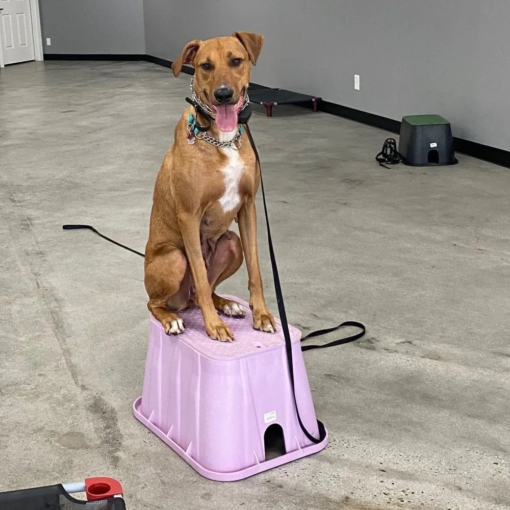 moesey76.bsky.social's profile picture