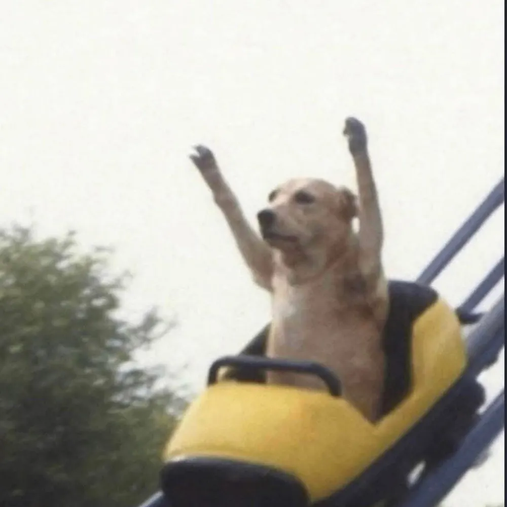 chrisarrick.bsky.social's profile picture