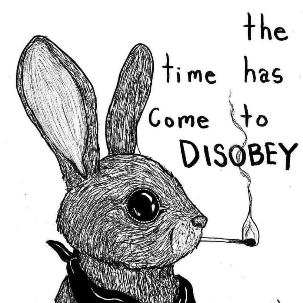 loliryder.bsky.social's profile picture