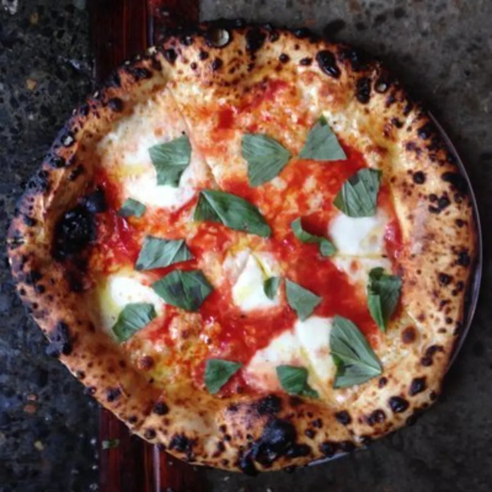 adamlindsley.bsky.social's profile picture