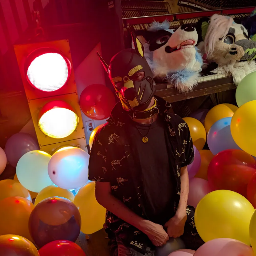 brightpuppo2323.bsky.social's profile picture