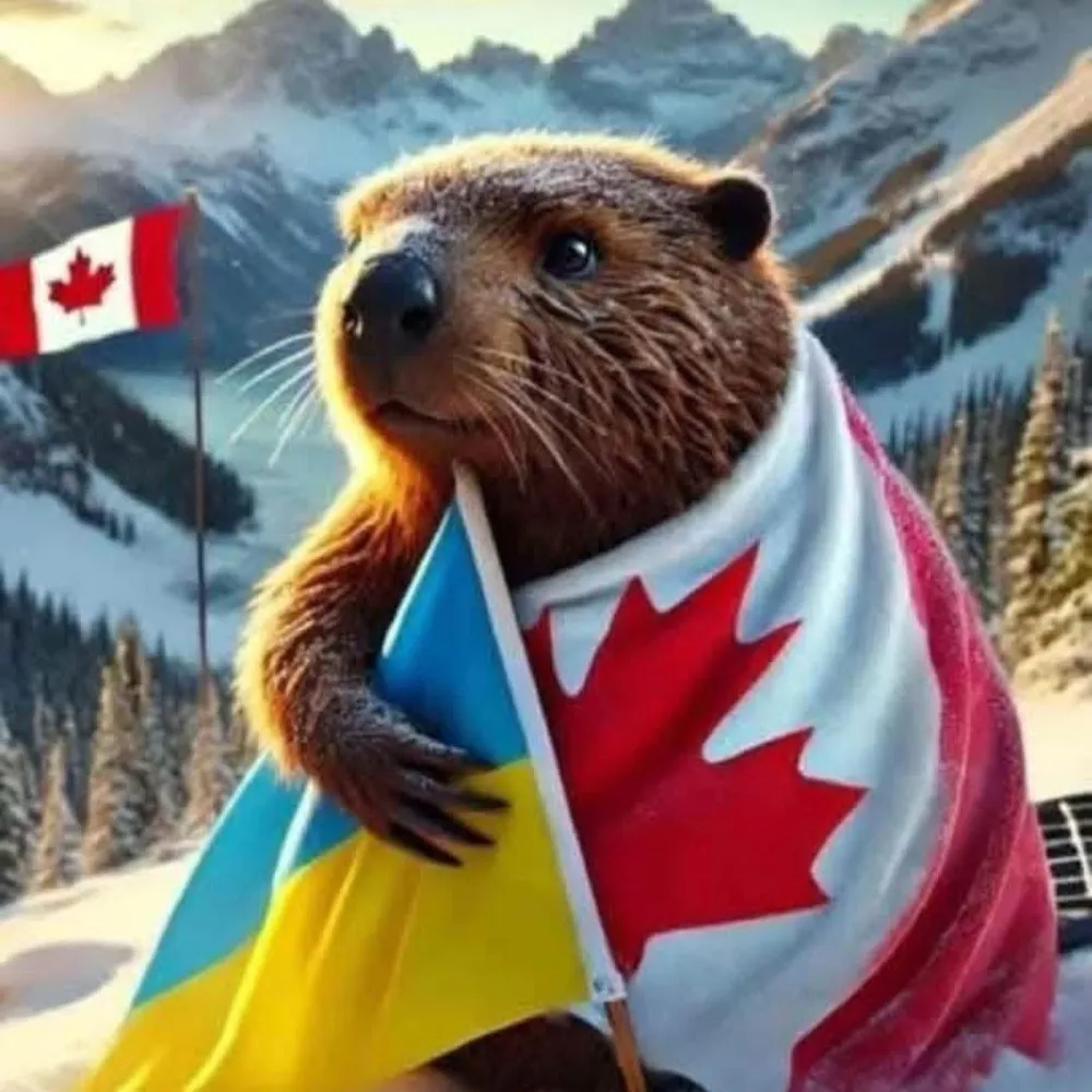 bendyziggy.bsky.social's profile picture