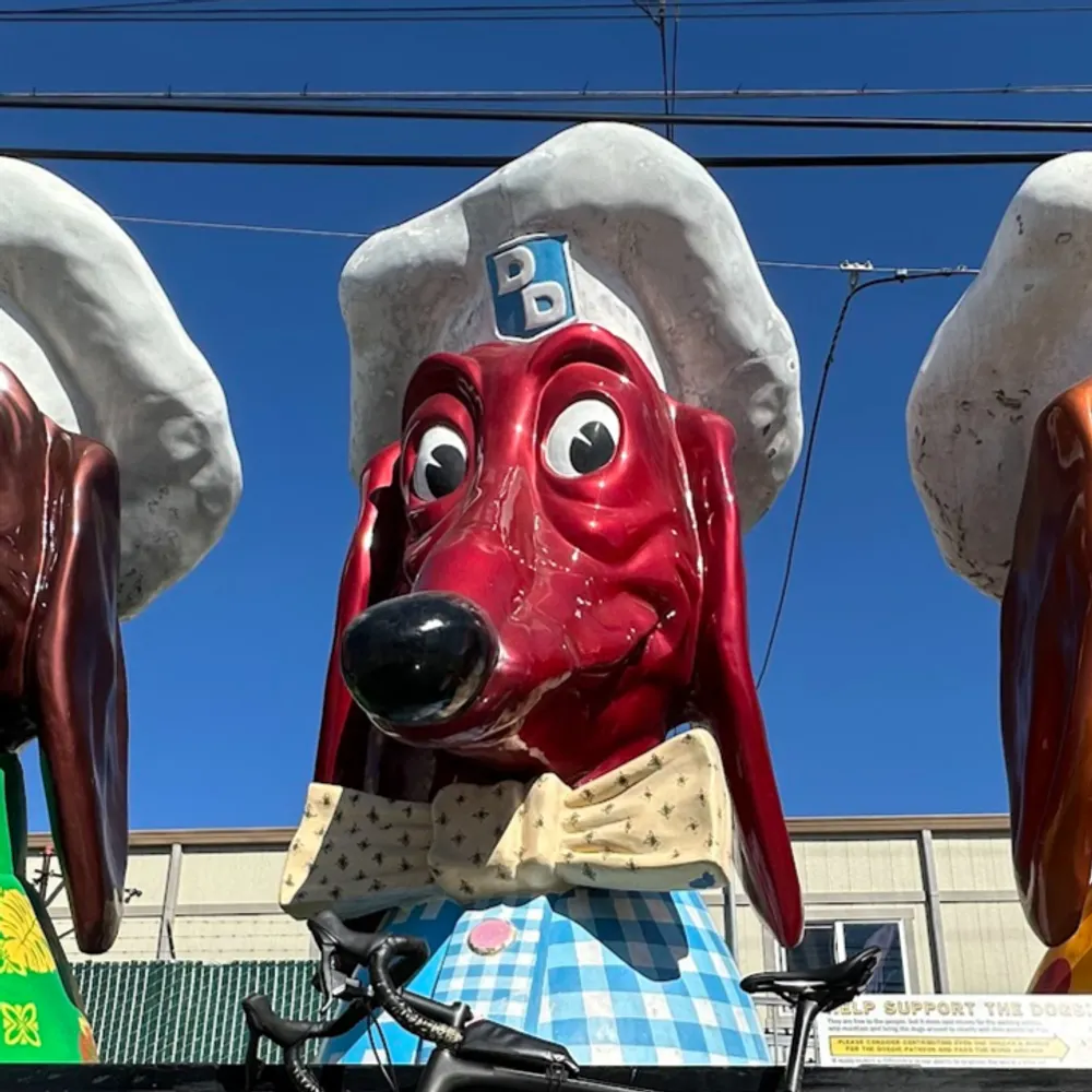 turbowombat.bsky.social's profile picture