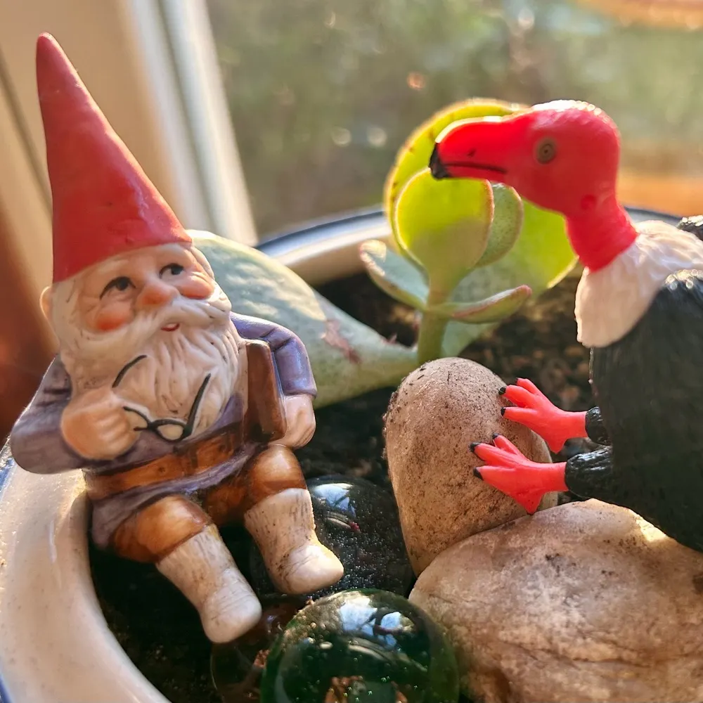 canentesibicanem.bsky.social's profile picture