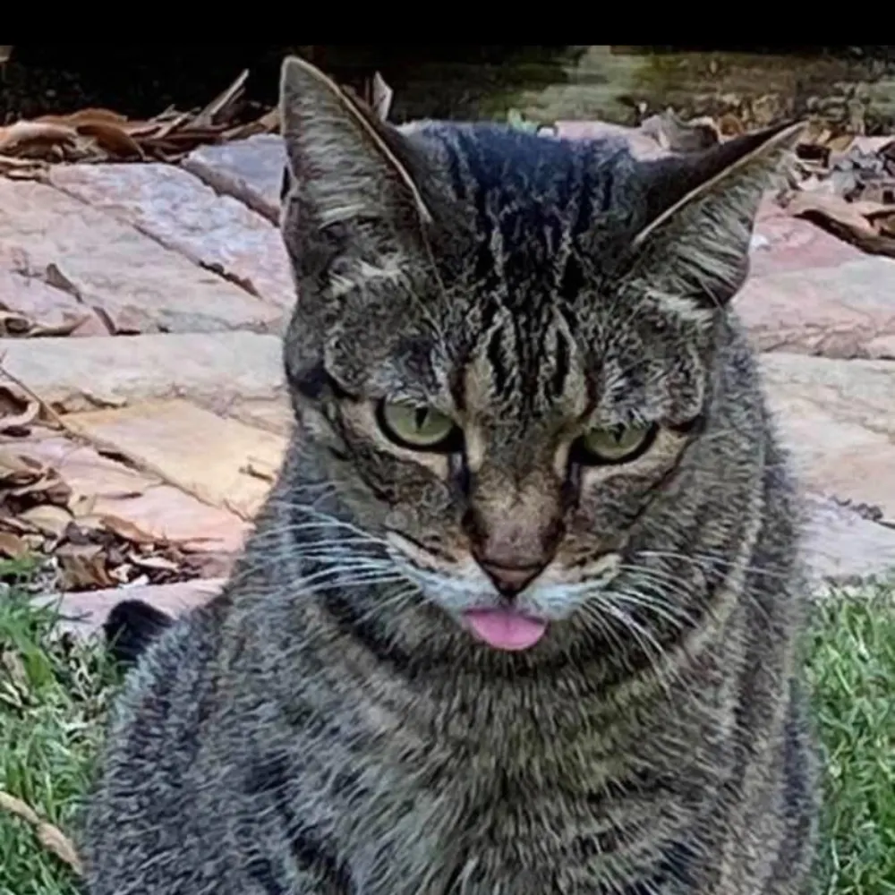 exaspera.bsky.social's profile picture