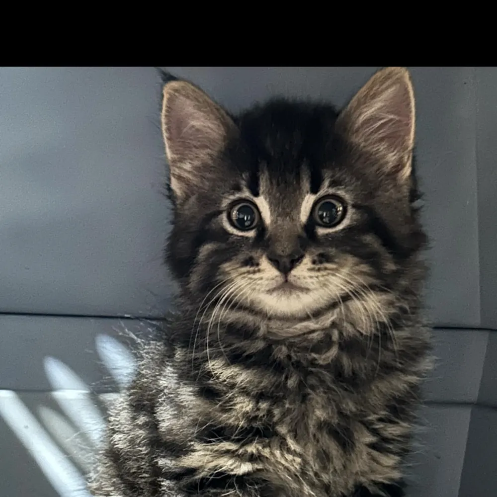 jupitess.bsky.social's profile picture