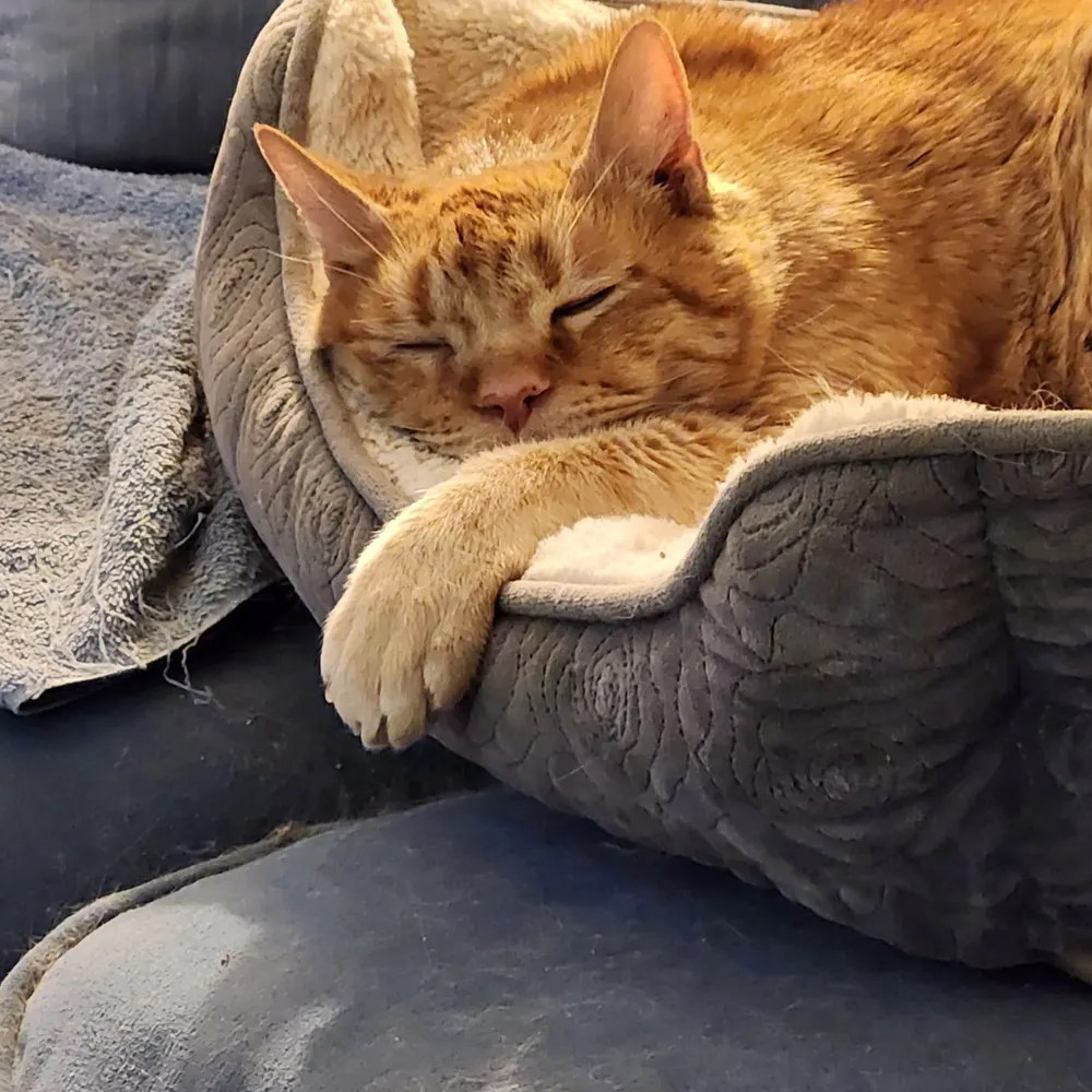 12milegeo.bsky.social's profile picture