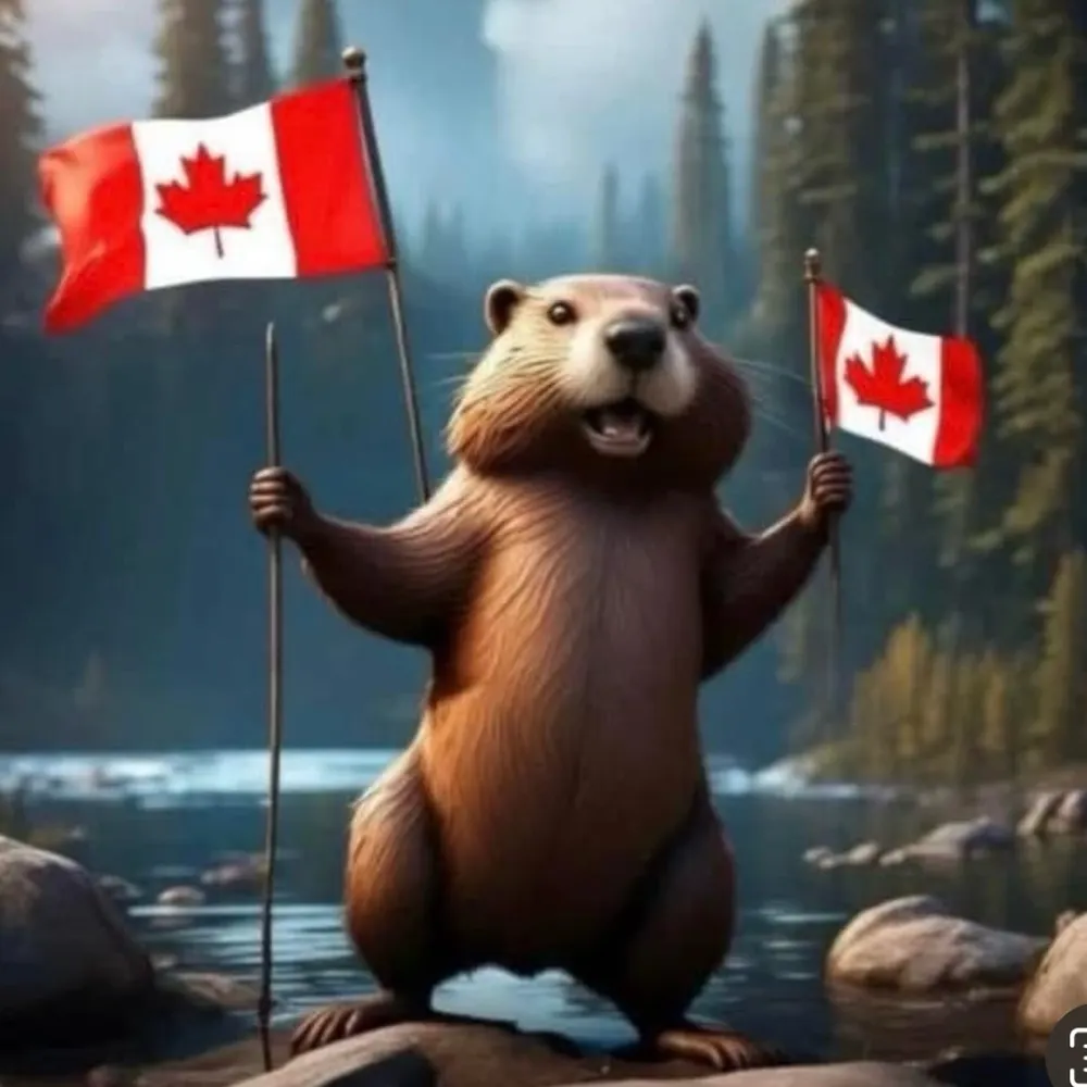 rckymtn.bsky.social's profile picture