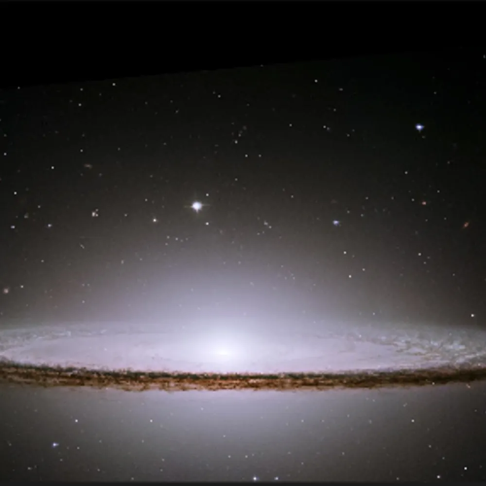 huntthesnark.bsky.social's profile picture