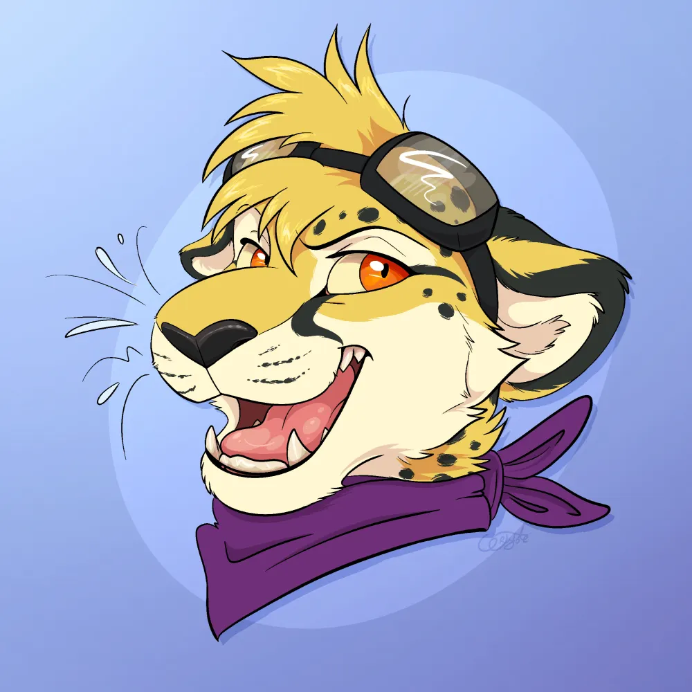 cheetahobscura.chee.spot's profile picture