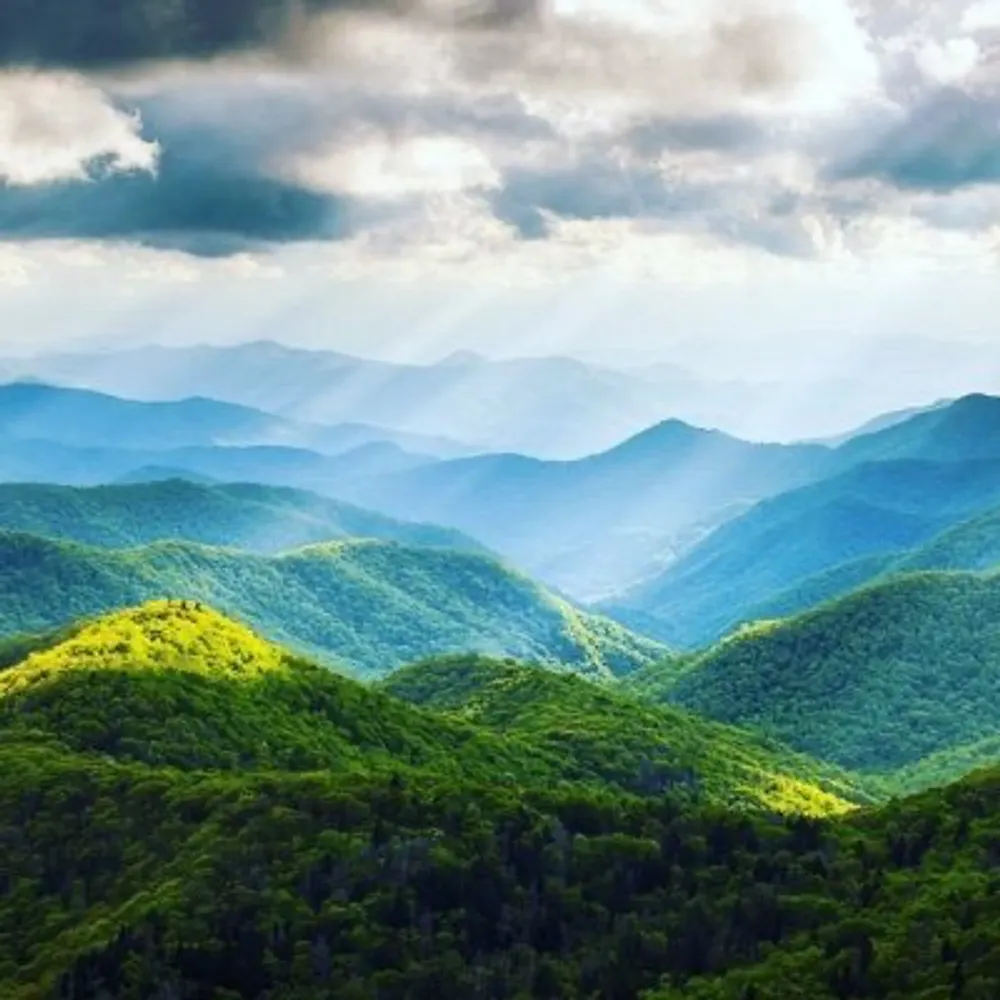 goodgreatokayish.bsky.social's profile picture