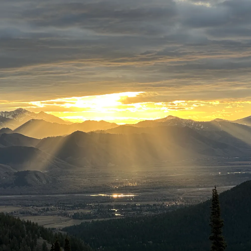 exoplanetdinosaur.bsky.social's profile picture