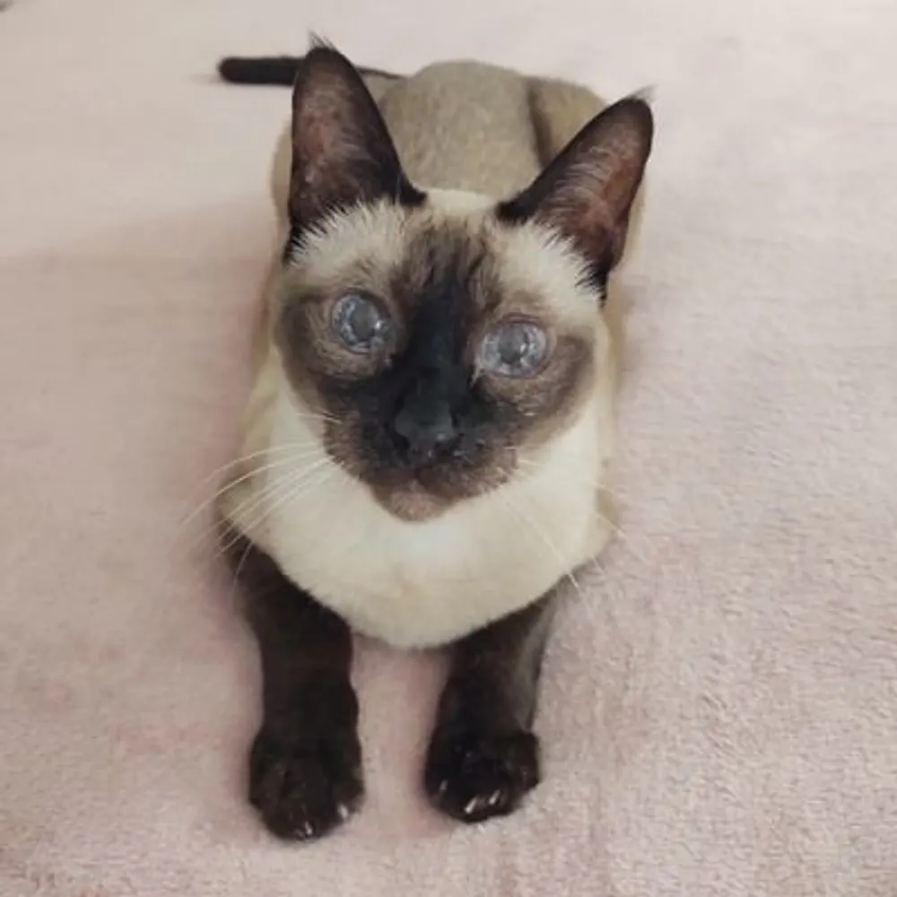 coffeemeezer.bsky.social's profile picture