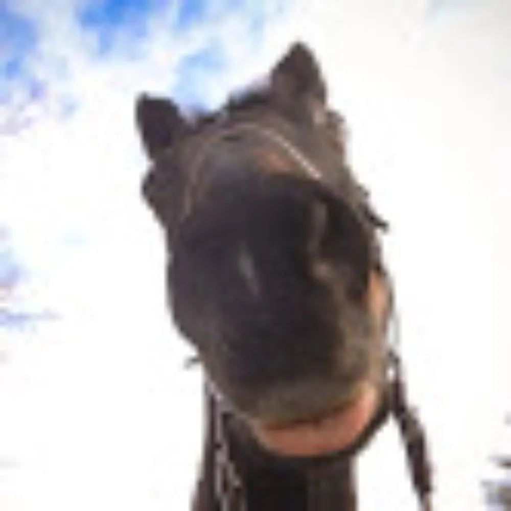 eschneider.bsky.social's profile picture