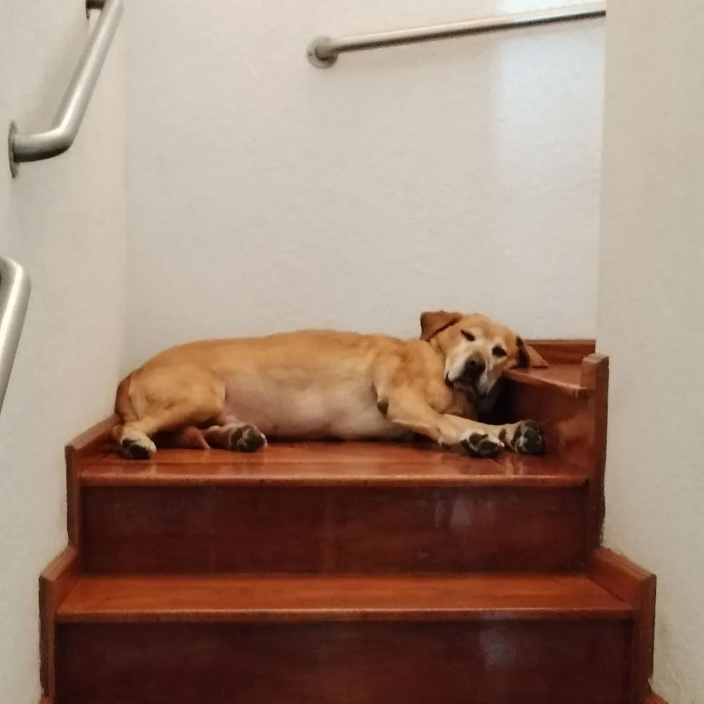 imperatorgabs.bsky.social's profile picture