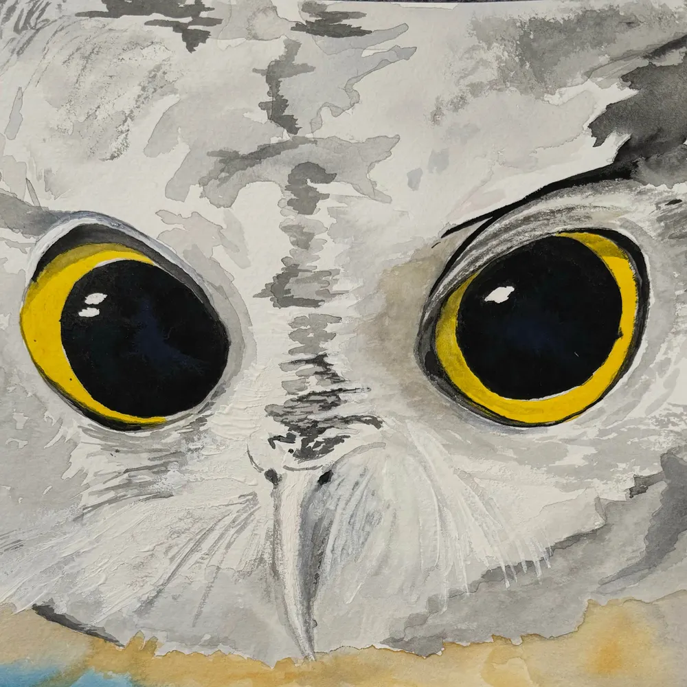 all-around-amateur.bsky.social's profile picture