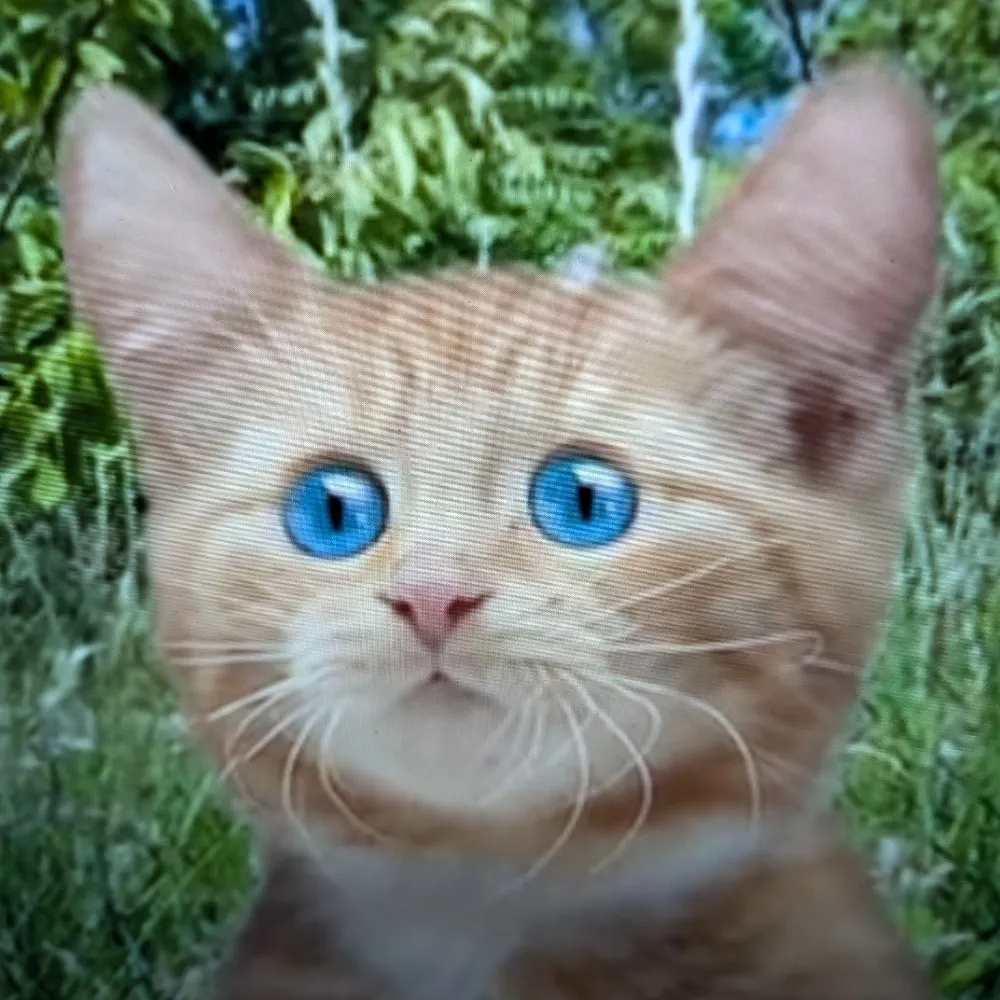 seadave9000.bsky.social's profile picture