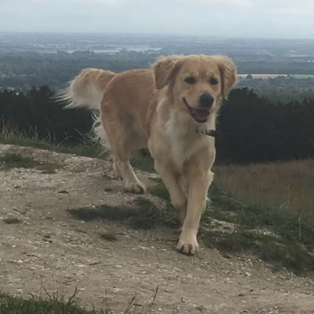 ruralriding.bsky.social's profile picture