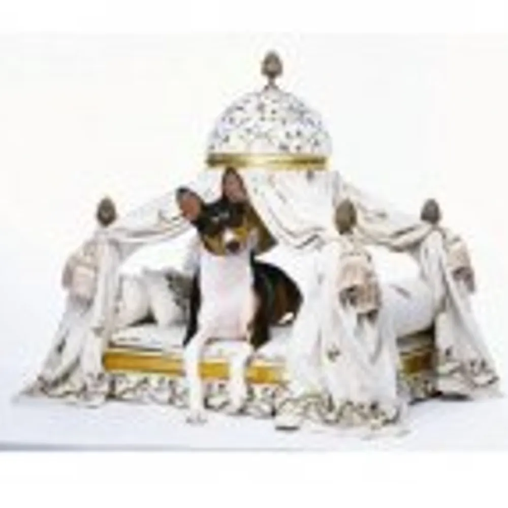 antiggy1998.bsky.social's profile picture