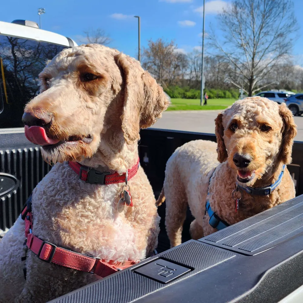 fermidox.bsky.social's profile picture