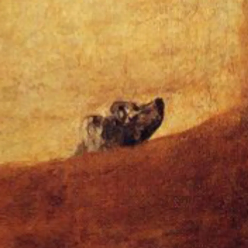 glifo.bsky.social's profile picture