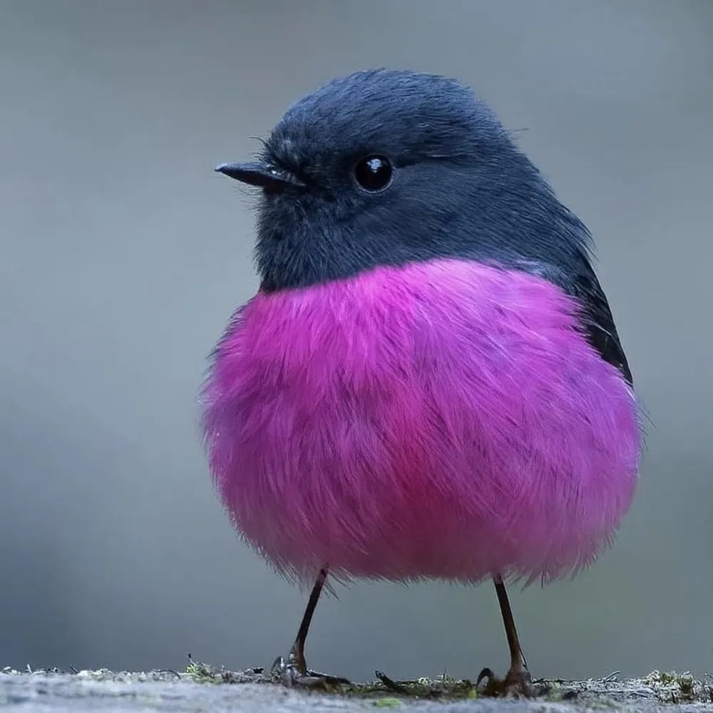 dayzee634.bsky.social's profile picture