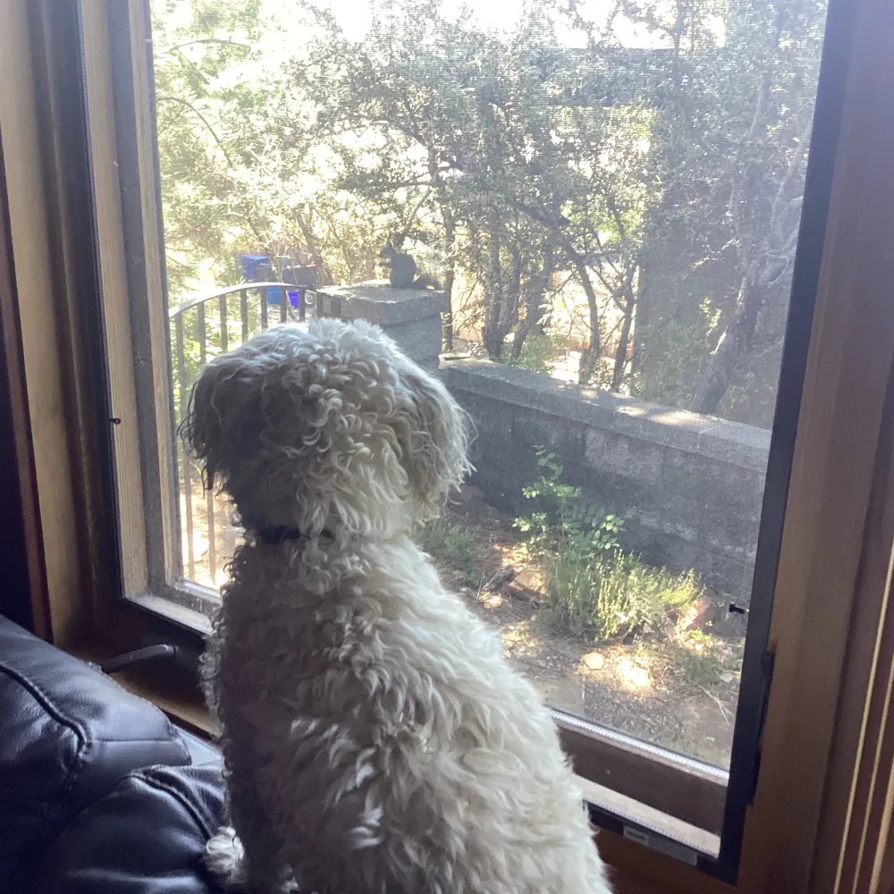 mkwilson27.bsky.social's profile picture