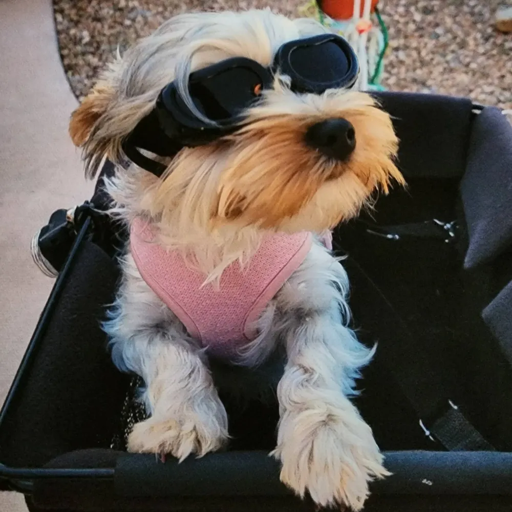 jeffow.bsky.social's profile picture