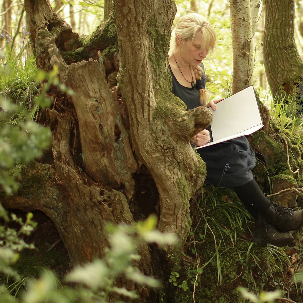 terriwindling.bsky.social's profile picture