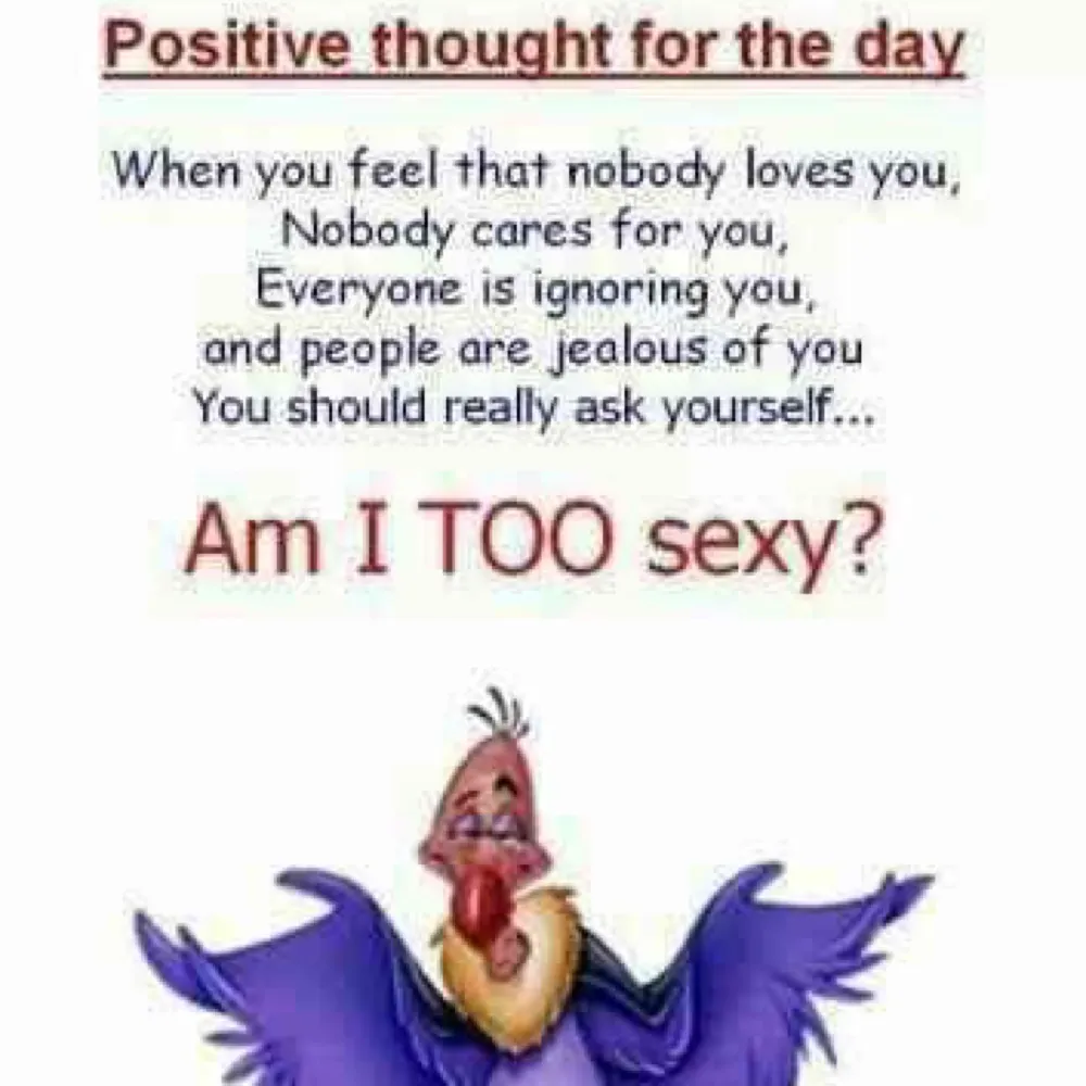 barbadine.bsky.social's profile picture