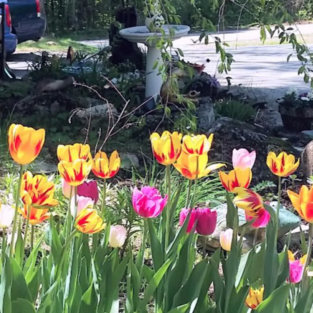 saltynh.bsky.social's profile picture