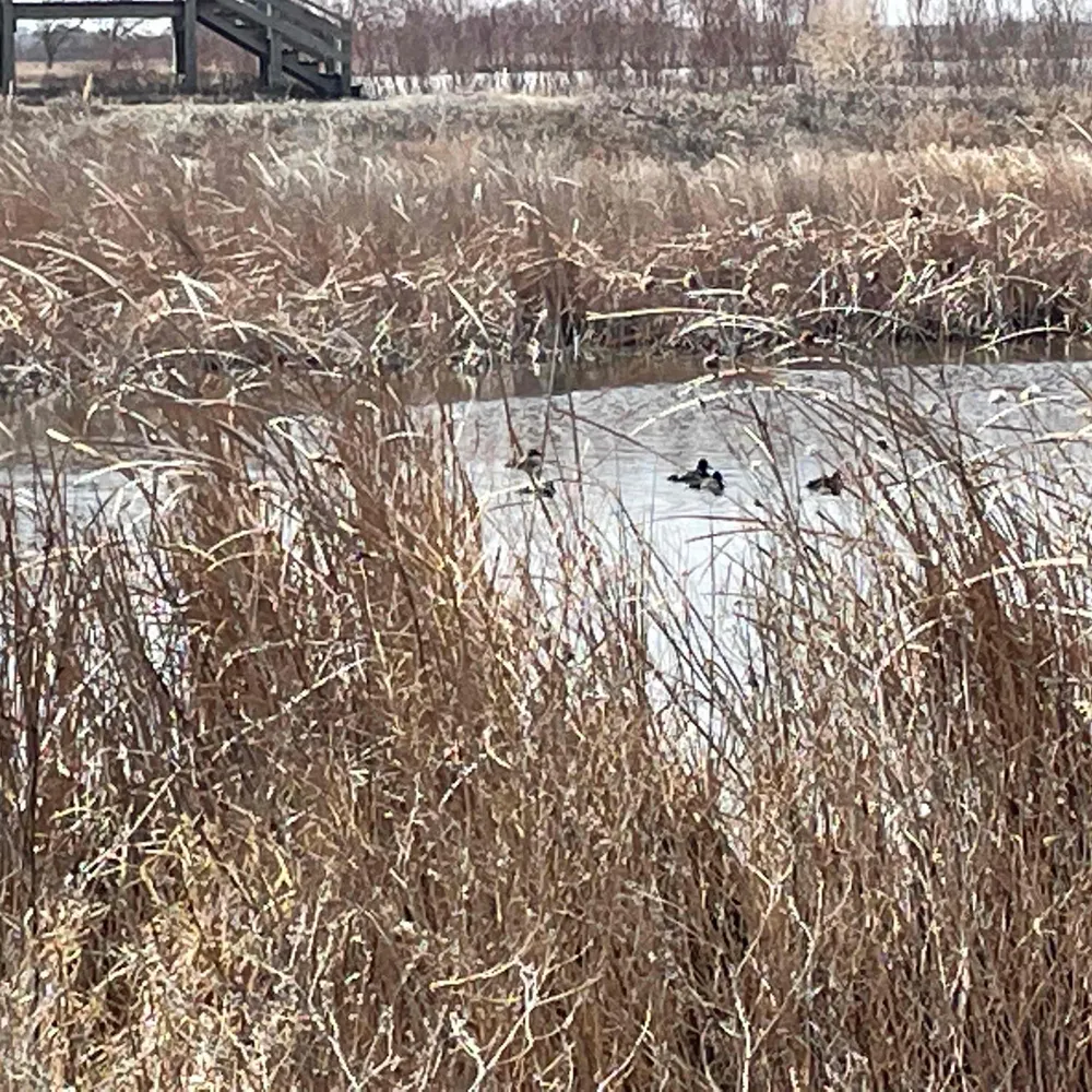 notesfromne.bsky.social's profile picture