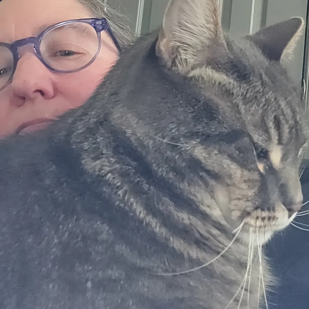 remainsofme.bsky.social's profile picture