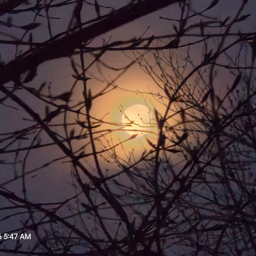 coffeewx.bsky.social's profile picture