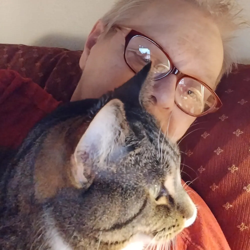 phedup.bsky.social's profile picture