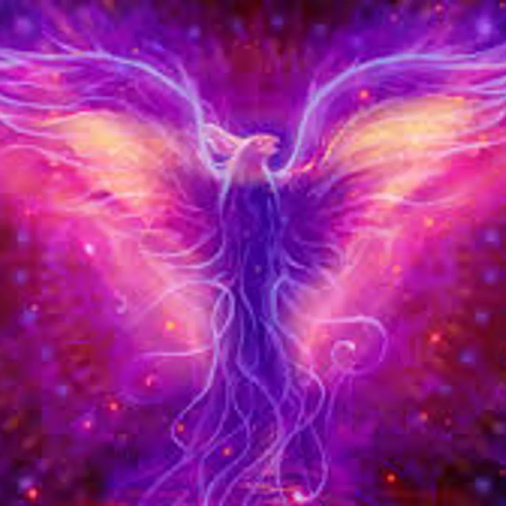 traceeo.bsky.social's profile picture