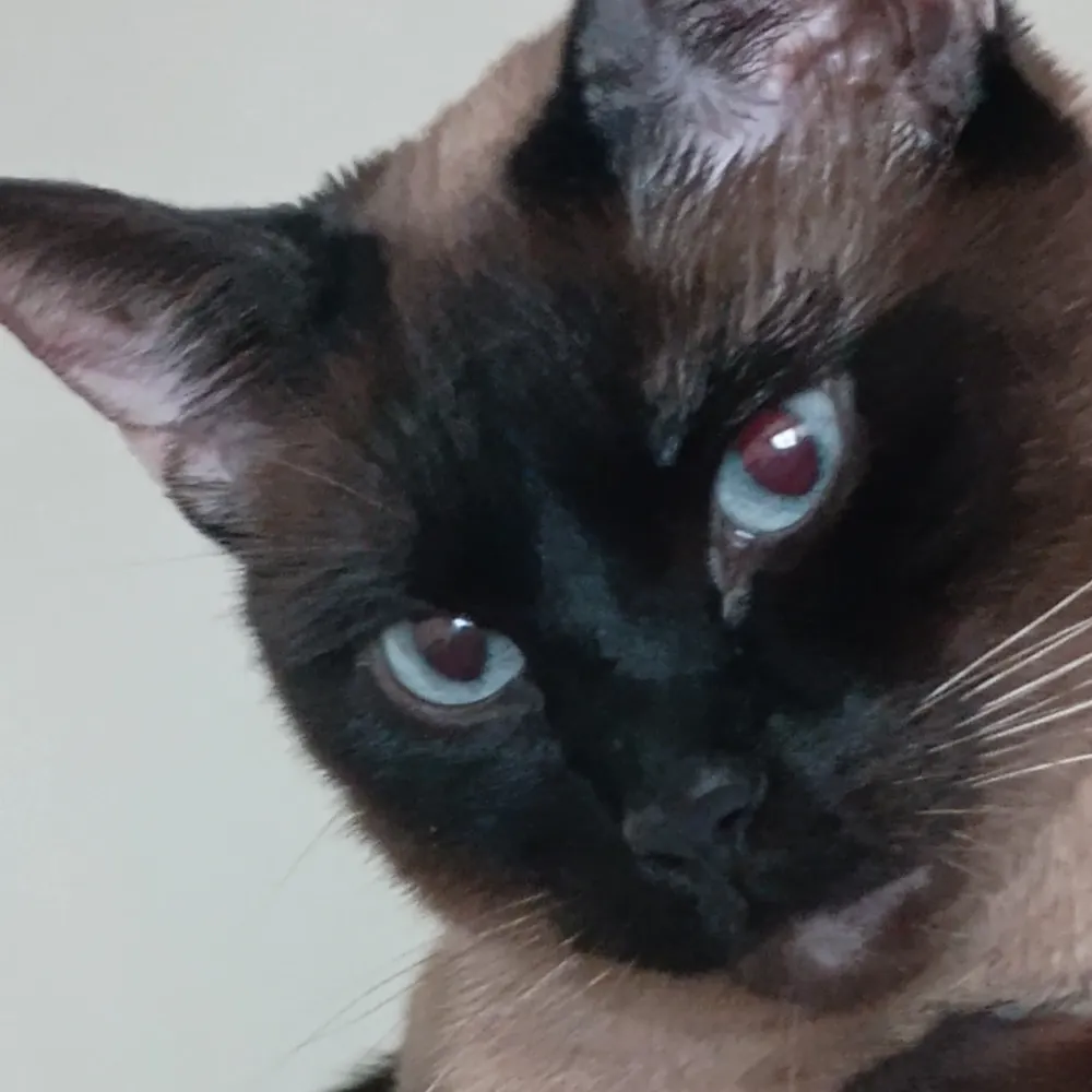 tannerps1968.bsky.social's profile picture