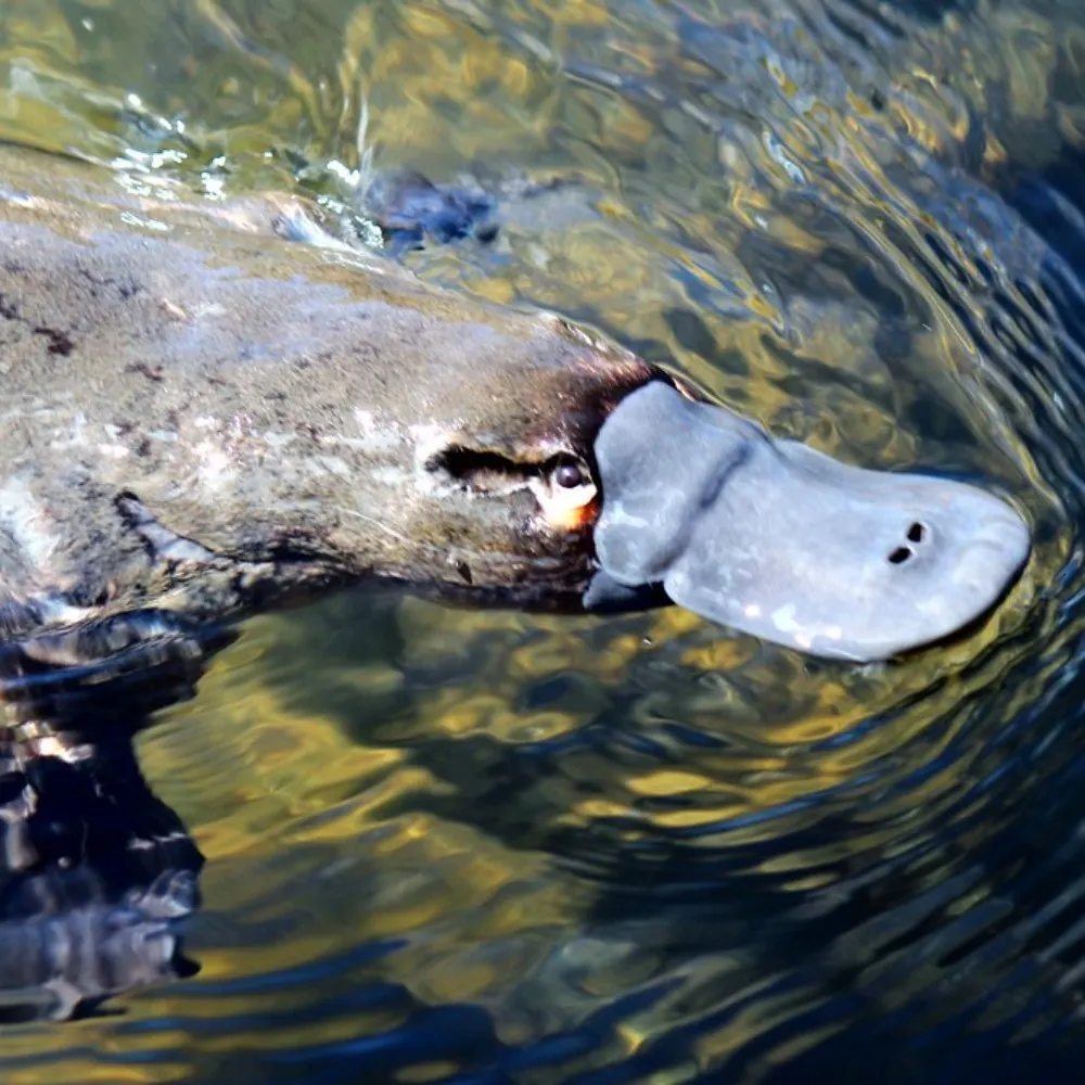 perfectclarity.bsky.social's profile picture