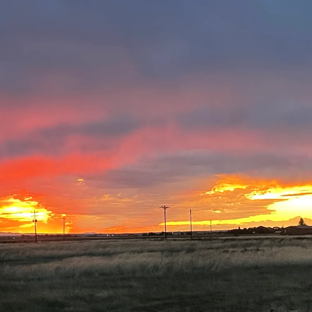 kwhays.bsky.social's profile picture