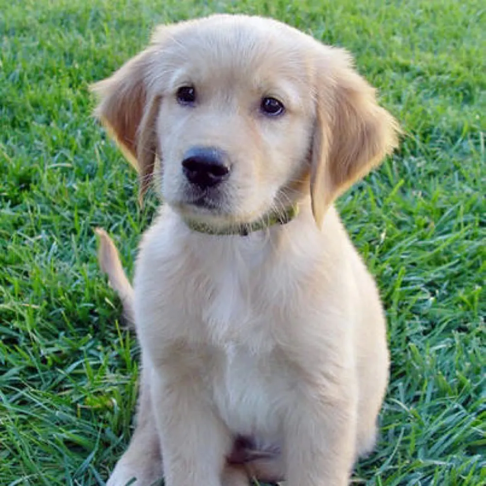 nycsouthpaw.bsky.social's profile picture