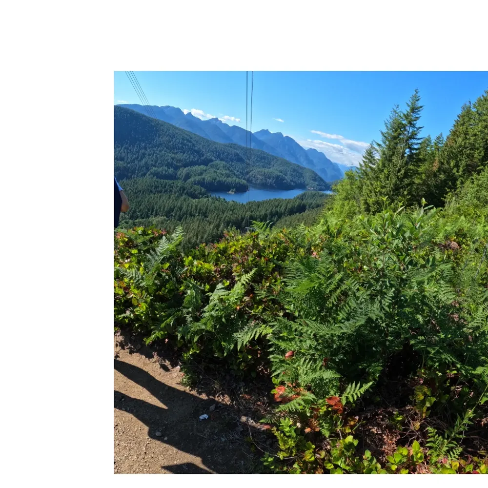 snowfolk.bsky.social's profile picture