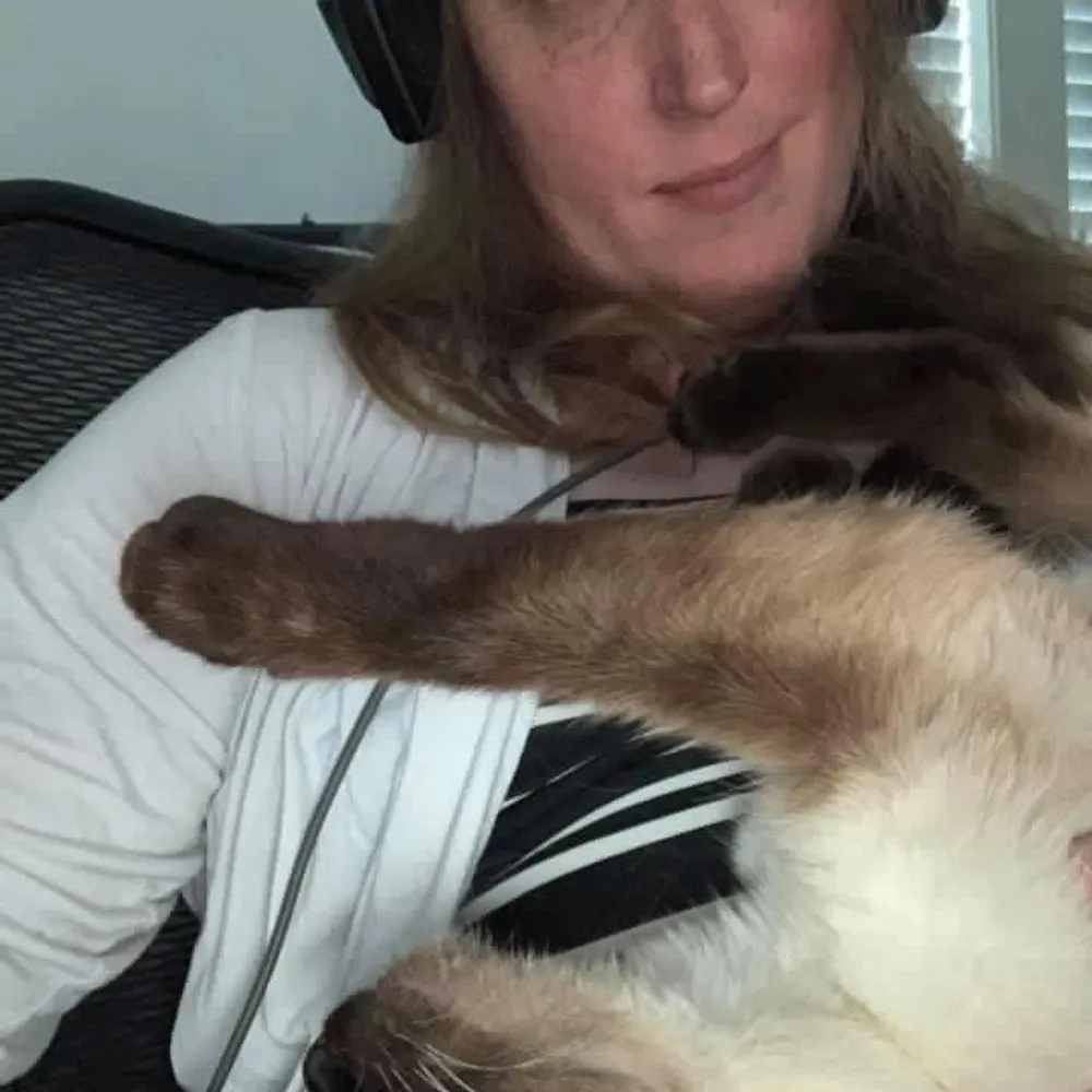 risslecrisis.bsky.social's profile picture