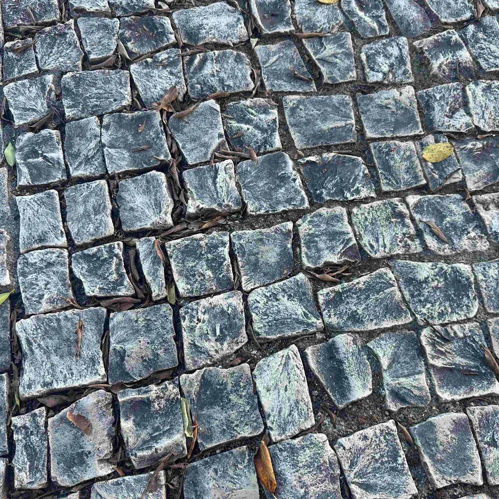 vjy1.bsky.social's profile picture