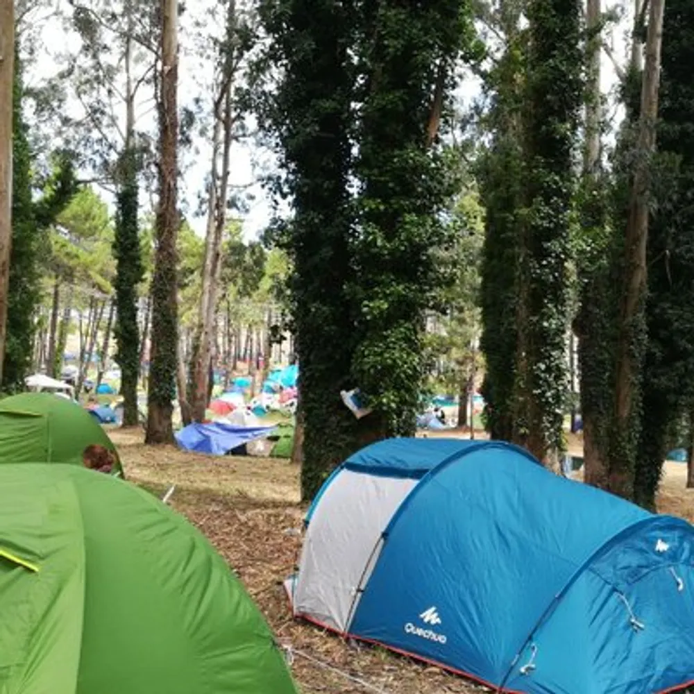 tardigrado91.satan.social's profile picture