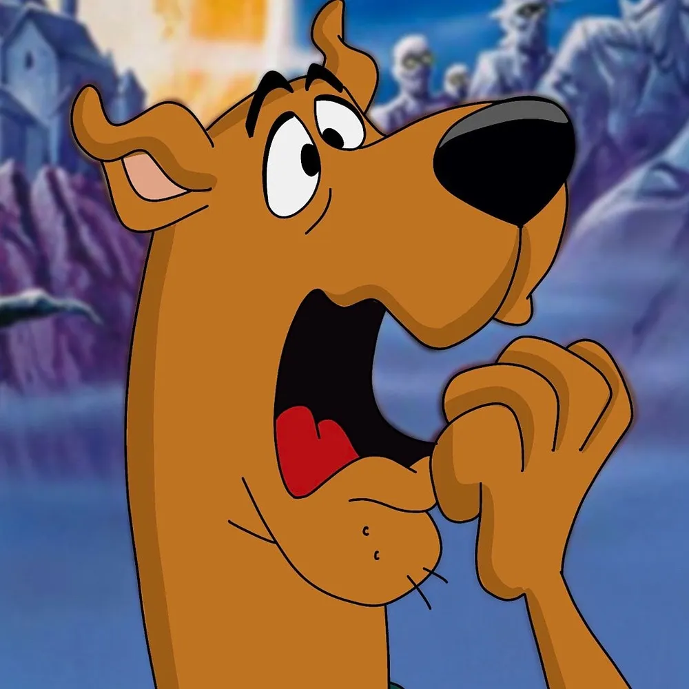 wwsd.bsky.social's profile picture