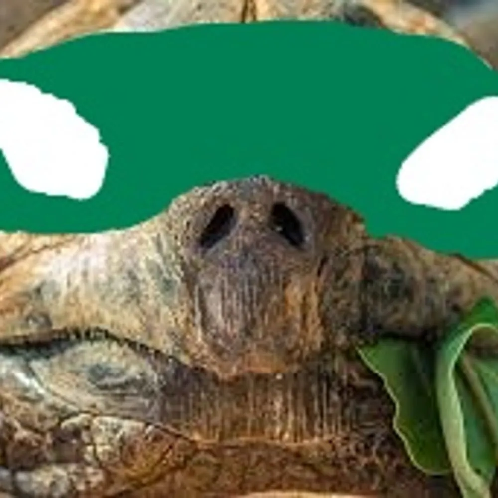 nakedkoops.bsky.social's profile picture