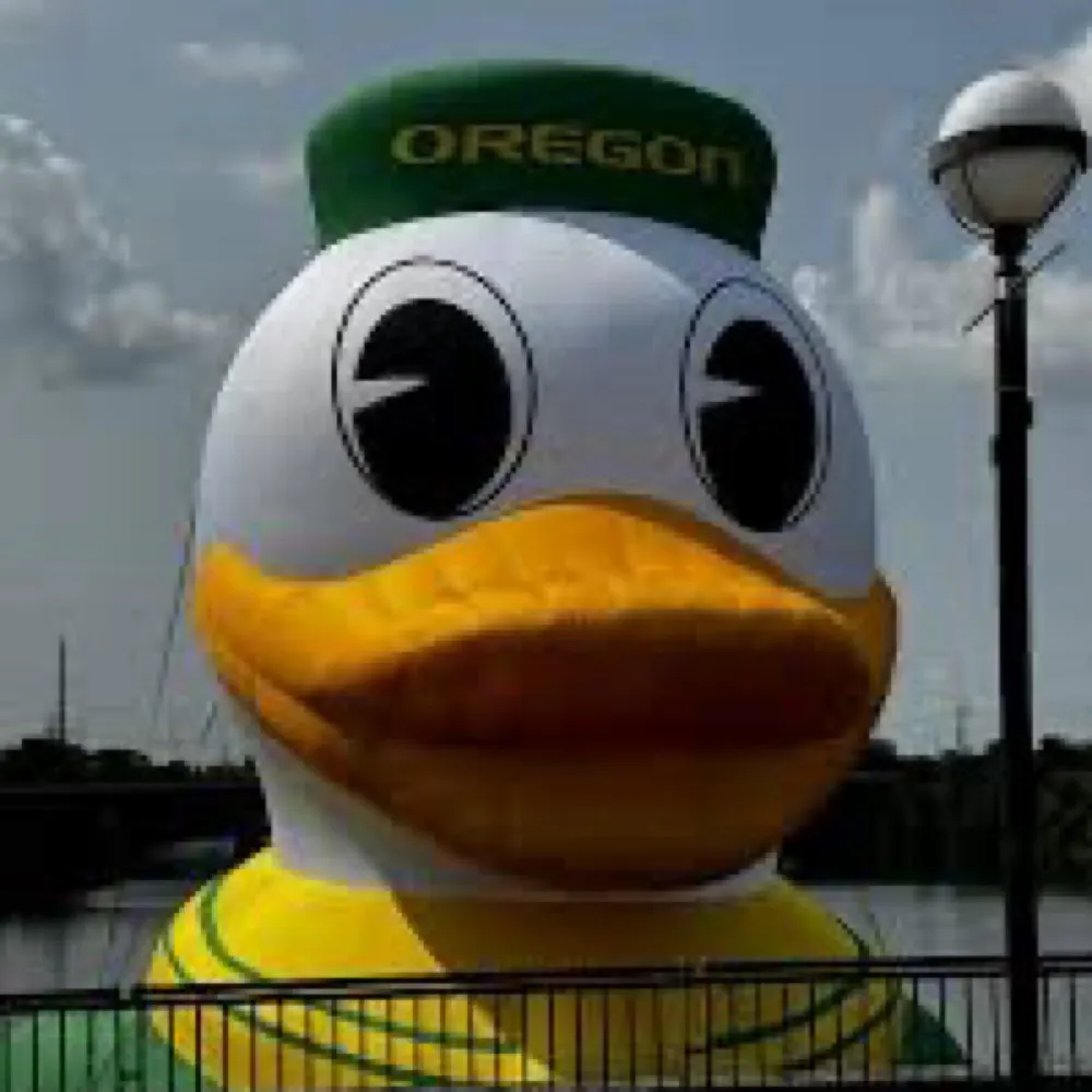 drivethruduck.bsky.social's profile picture