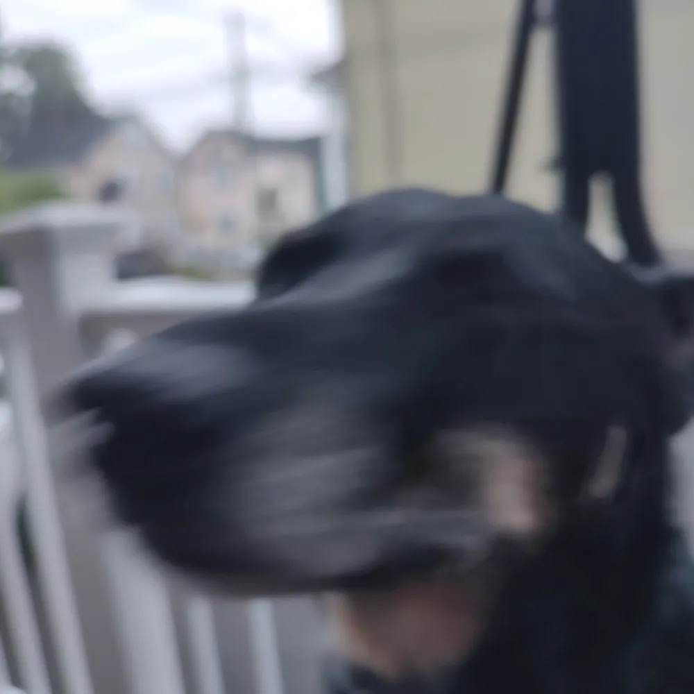 tommyblacksox.bsky.social's profile picture